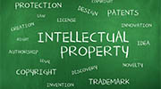 Switzerland intellectual property rights investigator